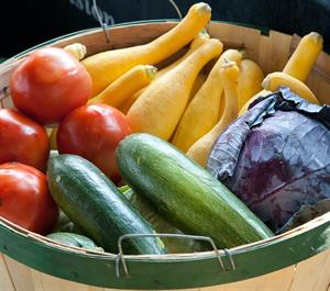 סל אורגני , ירוק, מזין וטרי המכיל ירקות , פירות ושאר ירוקים - אזור המרכז